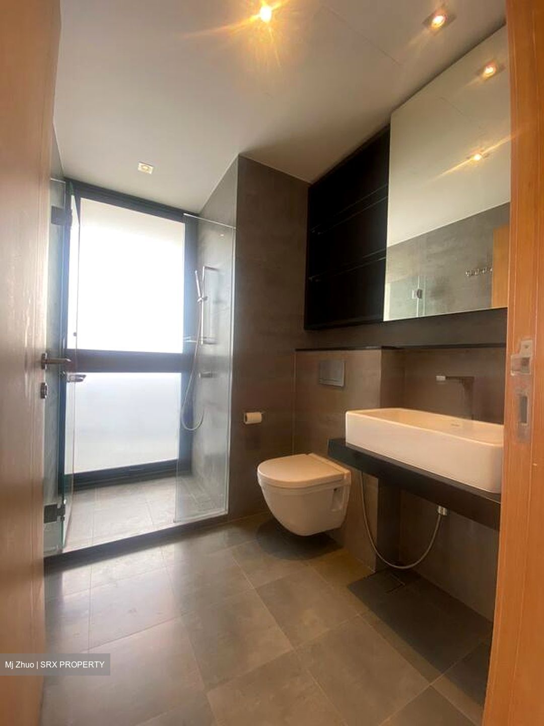 Lucida (D11), Apartment #462101191